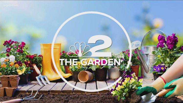 2 the Garden: Soil Testing