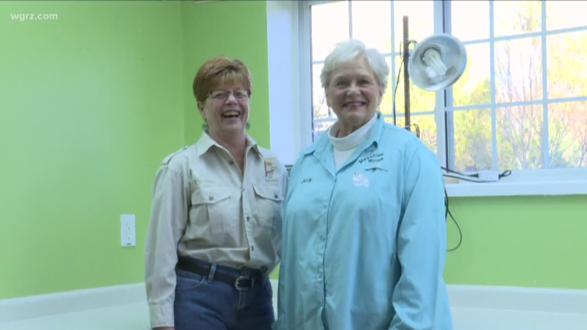 Together, Judy Seiler and Marianne Hites are part of a team of 150 volunteers who care for sick and injured animals at Messinger Woods in Holland.