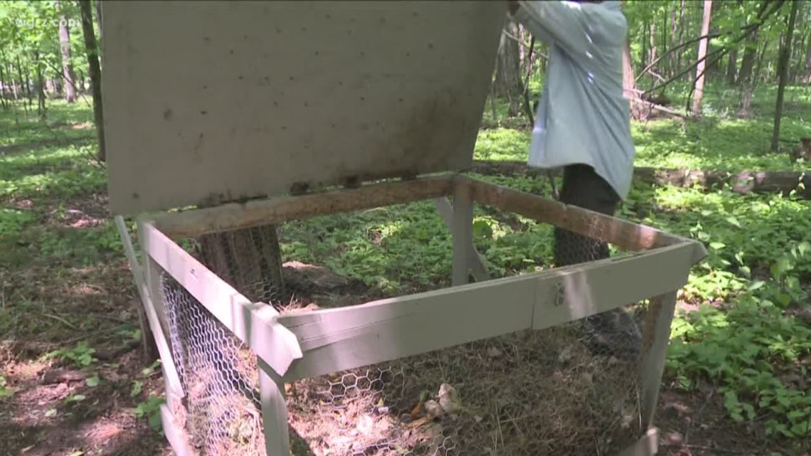Two local school districts have received funding for composting programs.