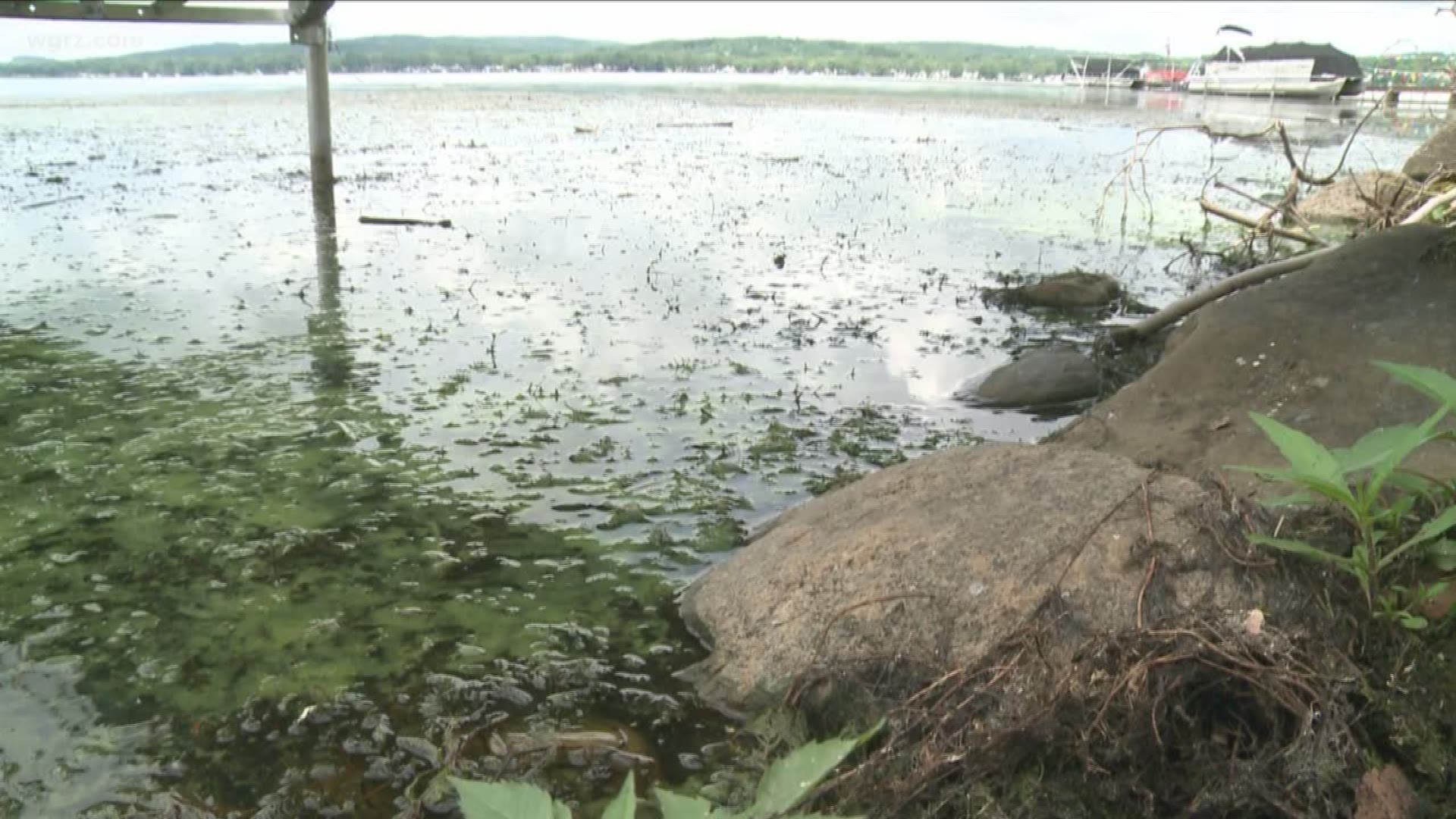 Debate Over Chautauqua Lake Conditions