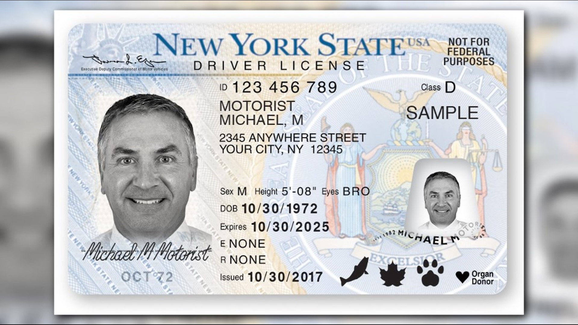 x-gender-marker-available-for-new-york-driver-s-licenses-id-cards