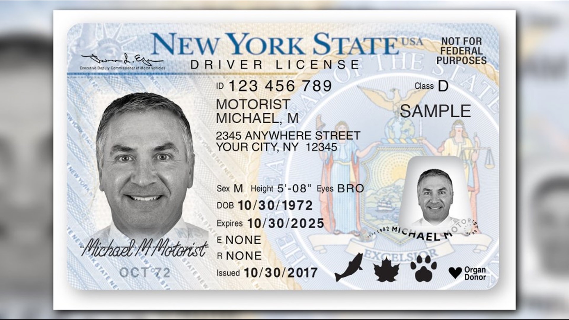  X Gender Marker Available For New York Driver s Licenses ID Cards 