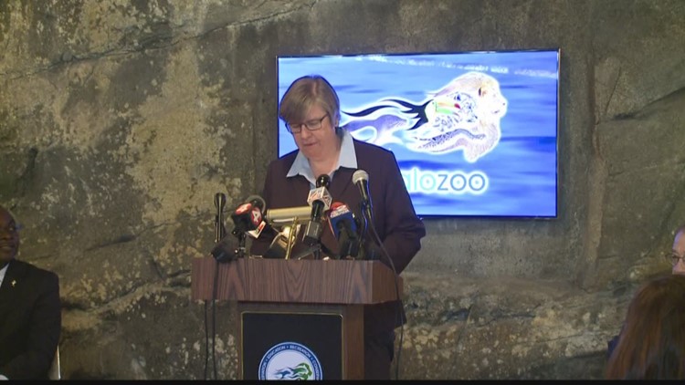 Buffalo Zoo president resigns after more than 5 years