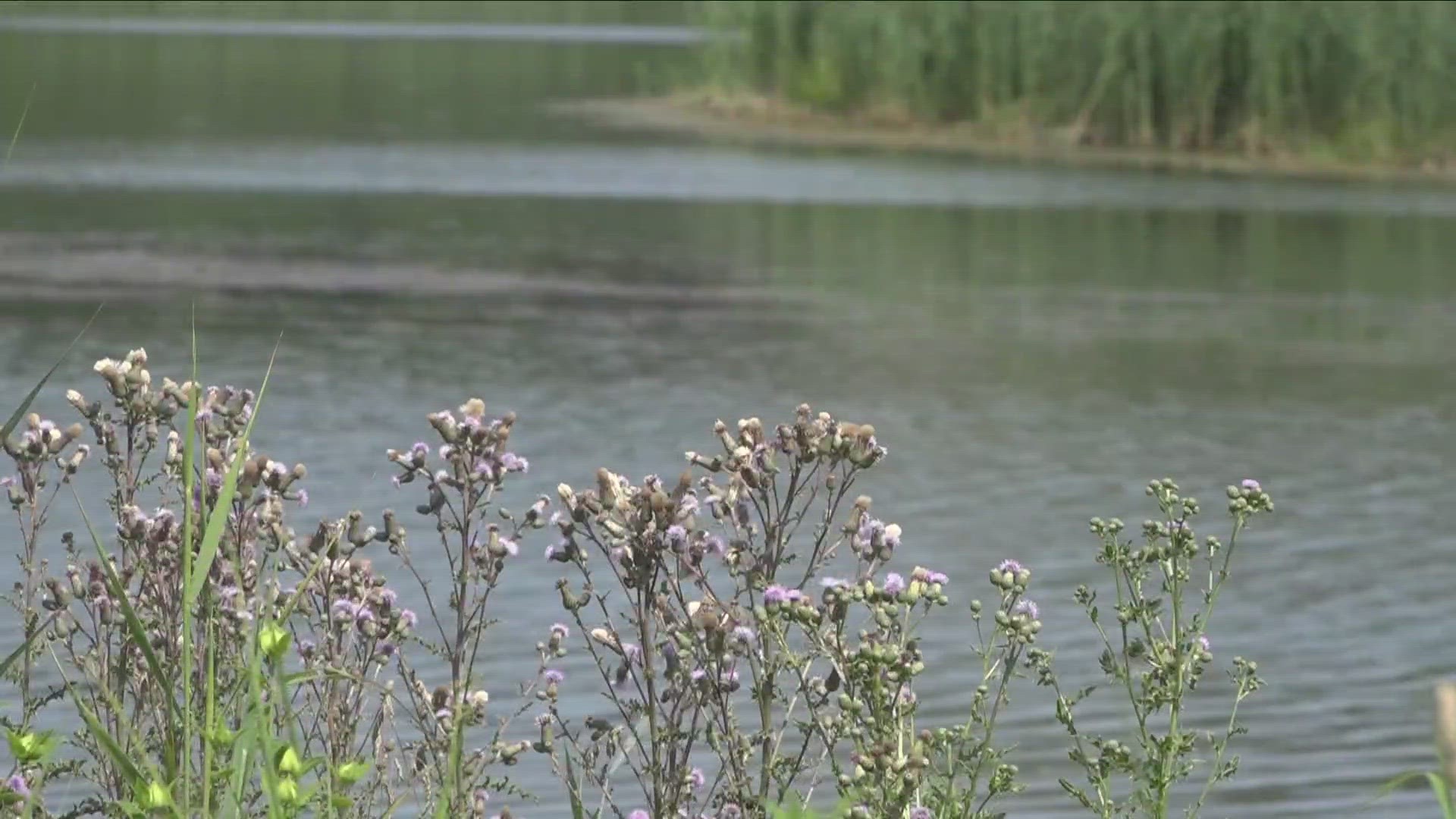 The walks are a great free way to enjoy the summer just outside of the city.