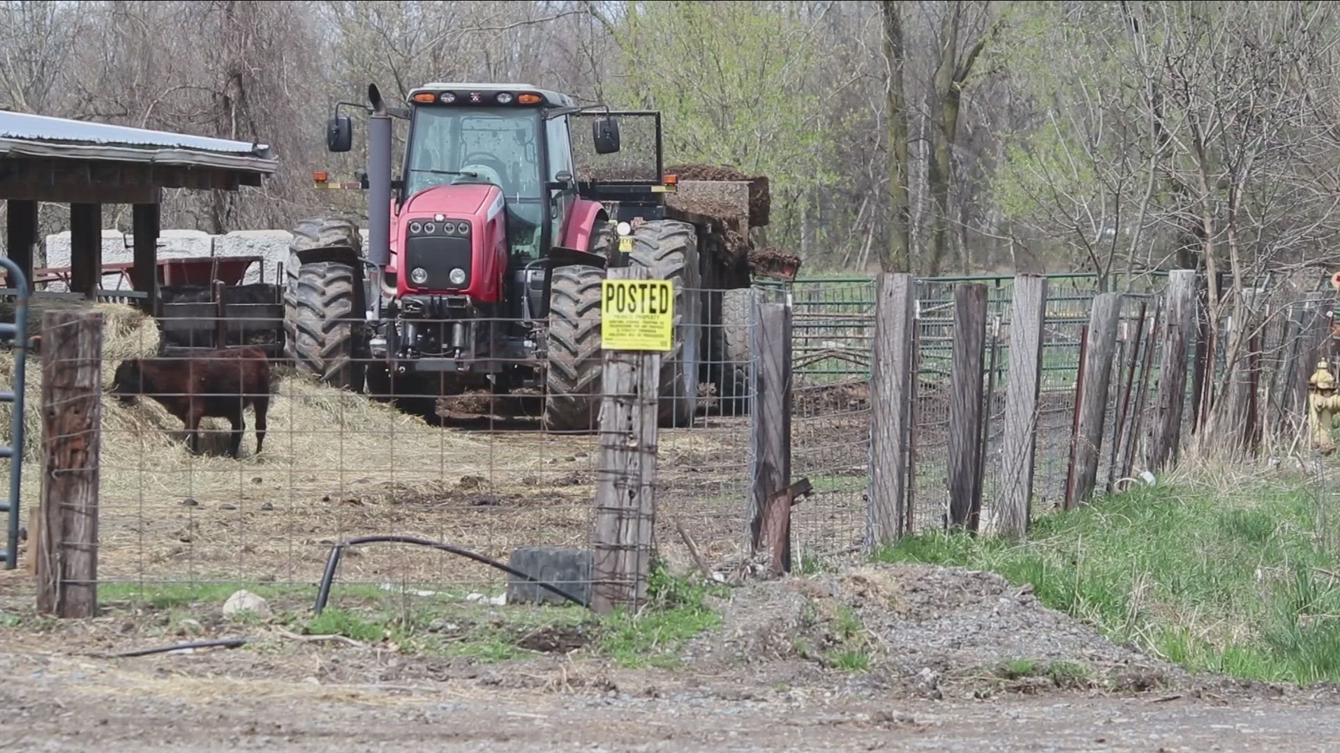 The sheriff's office says a group is actively recruiting individuals to take livestock and are asking farmers to be aware of any suspicious activity.