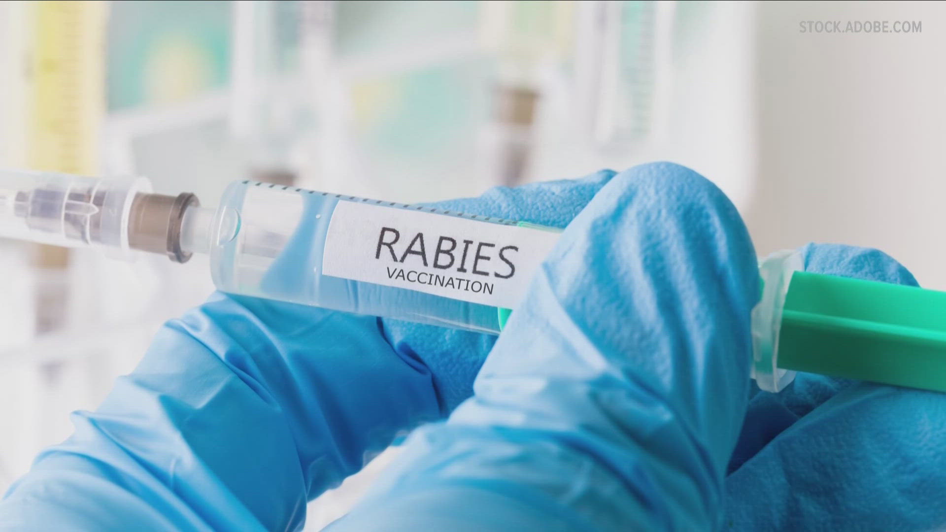 Be sure pet dogs, cats, and ferrets, as well as horses and other livestock animals are up-to-date on their rabies vaccinations.