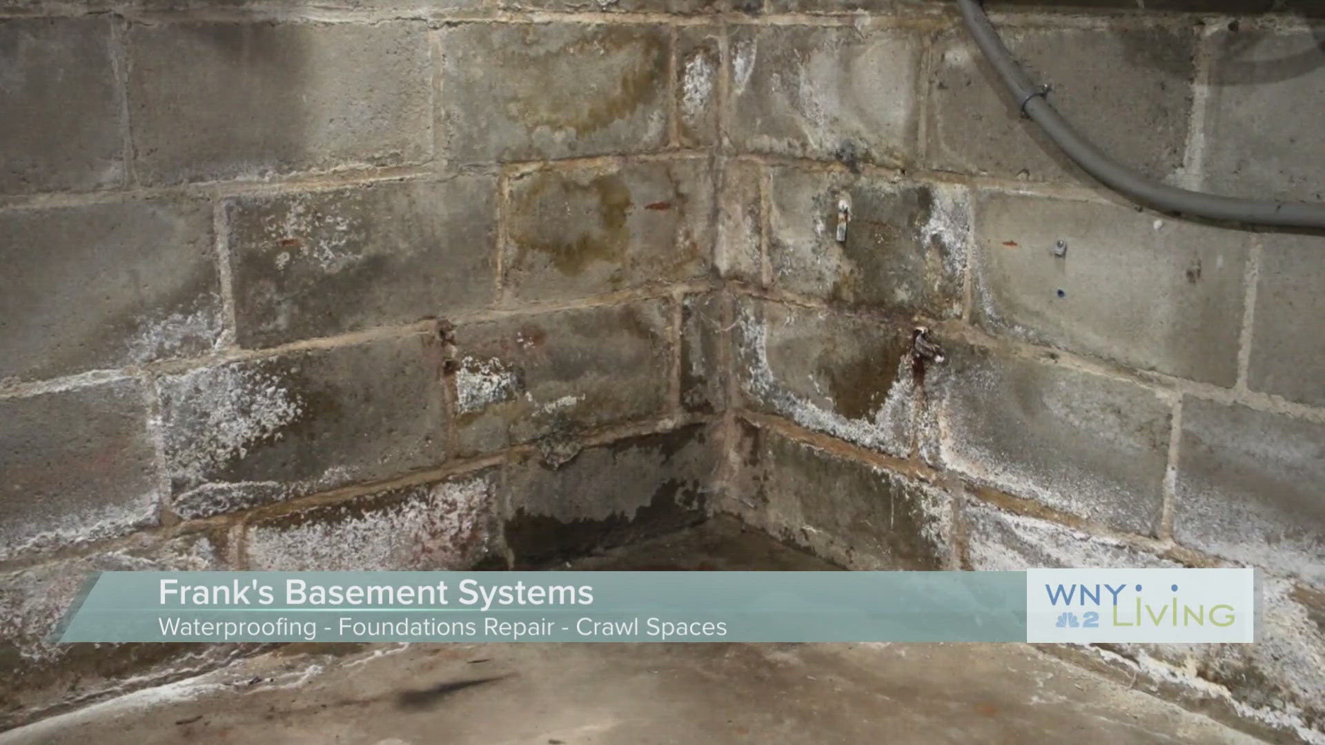 WNY Living - April 19 - Frank's Basement Systems THIS VIDEO IS SPONSORED BY FRANK'S BASEMENT SYSTEMS