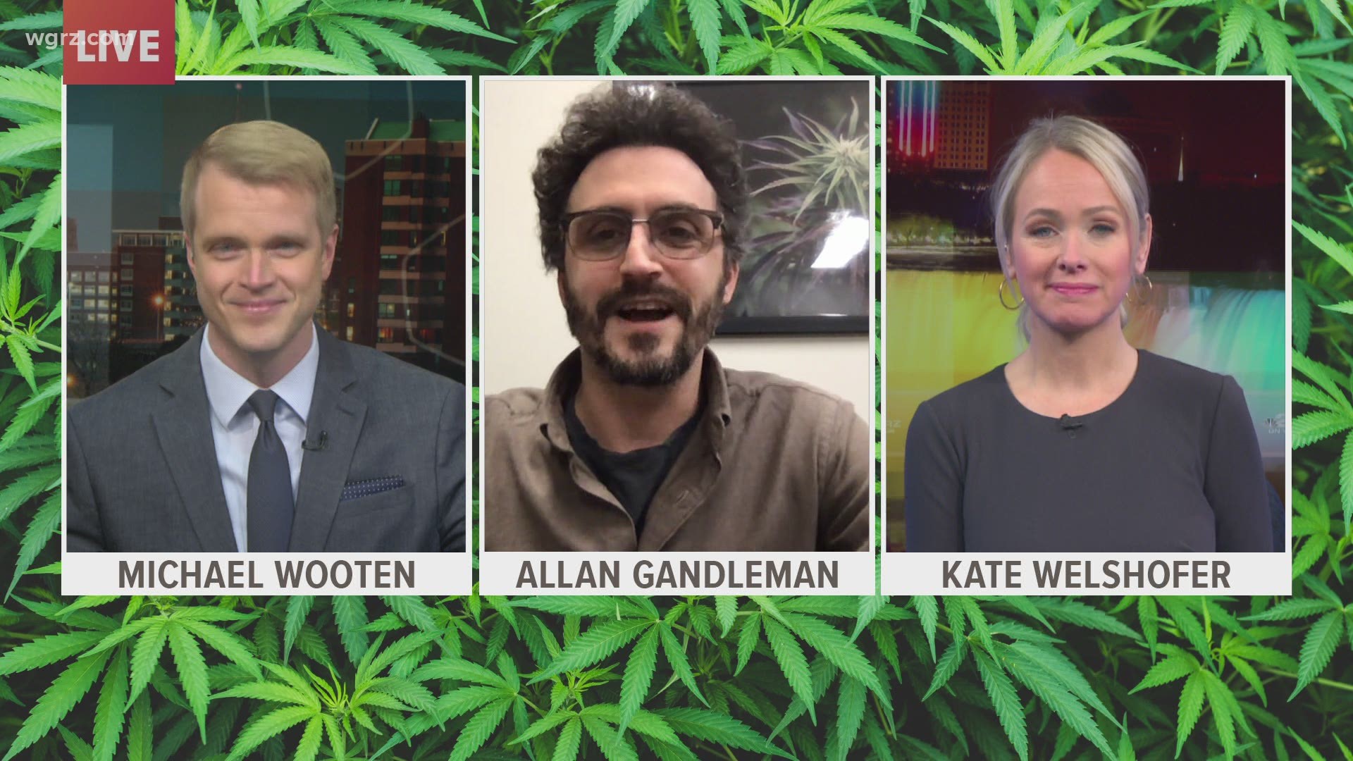 Allan Gandelman president of the New York Annabis Growers & Processors Association joins our town hall to discuss the possible legalization of recreational Marijuana