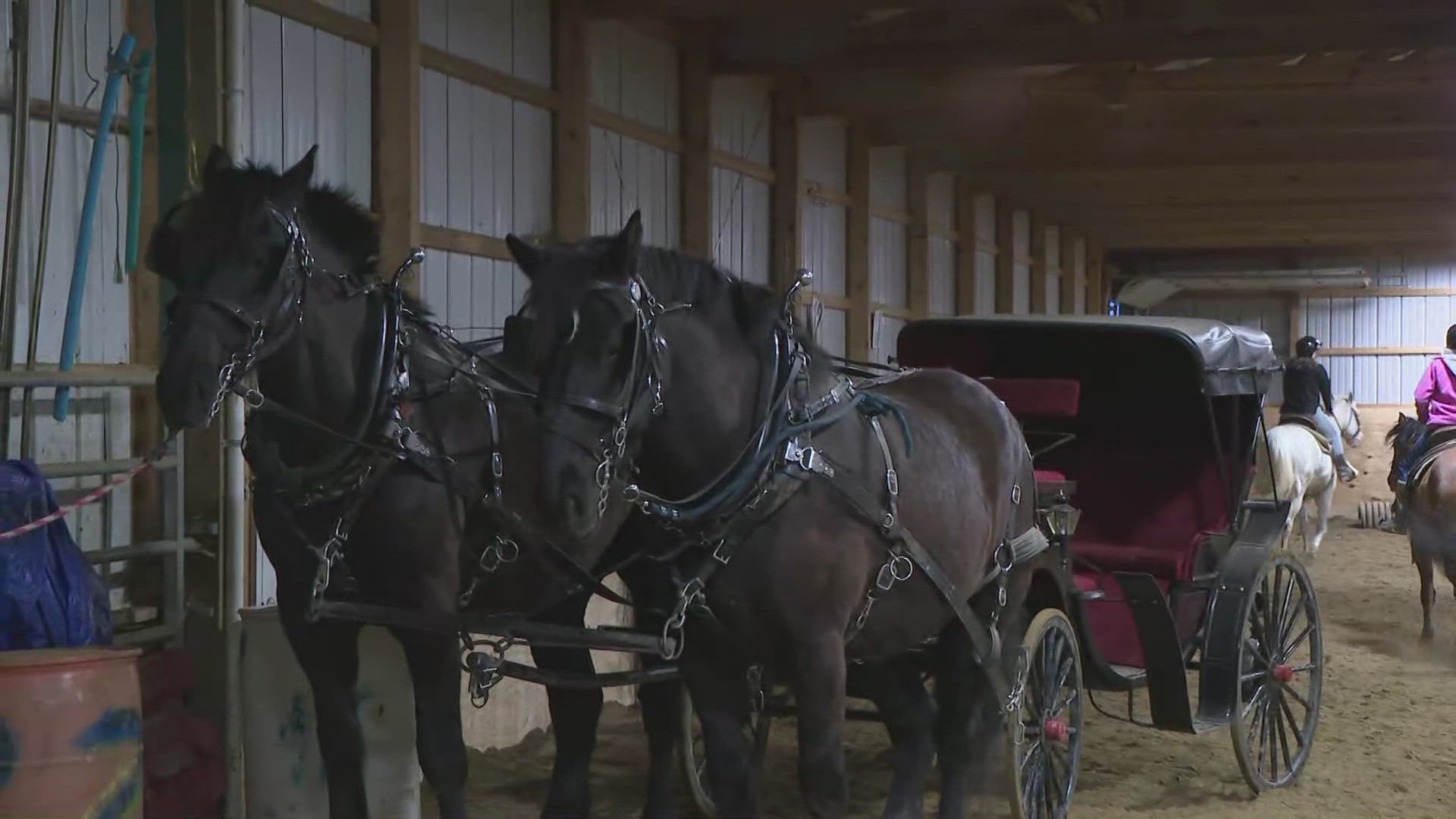 Kevin O'Neill horses around in Warsaw on Daybreak 4/24/24