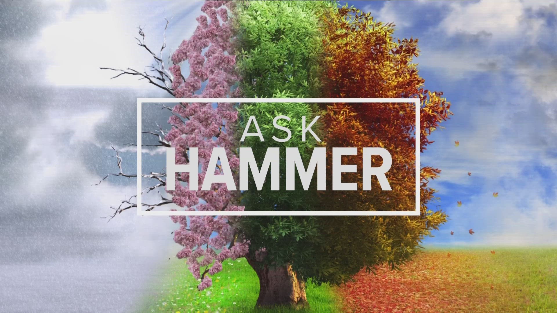 'Ask Hammer' Storm Team 2's Chief Meteorologist Patrick Hammer answers your weather questions