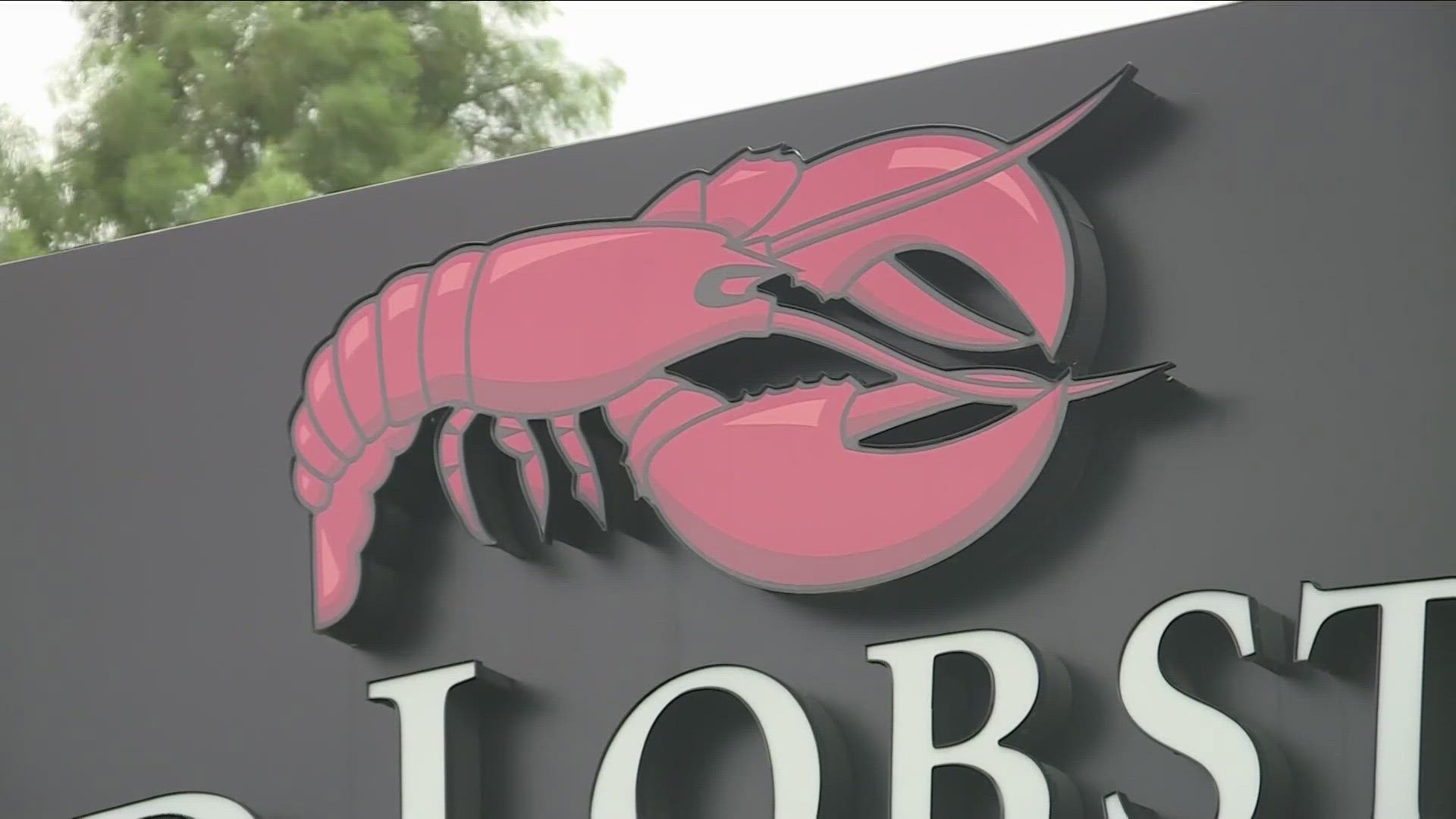Red Lobster closing WNY locations due to bankruptcy