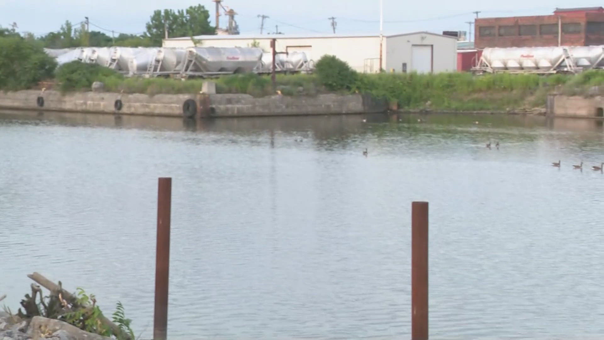 Indications show the Buffalo River is becoming less polluted