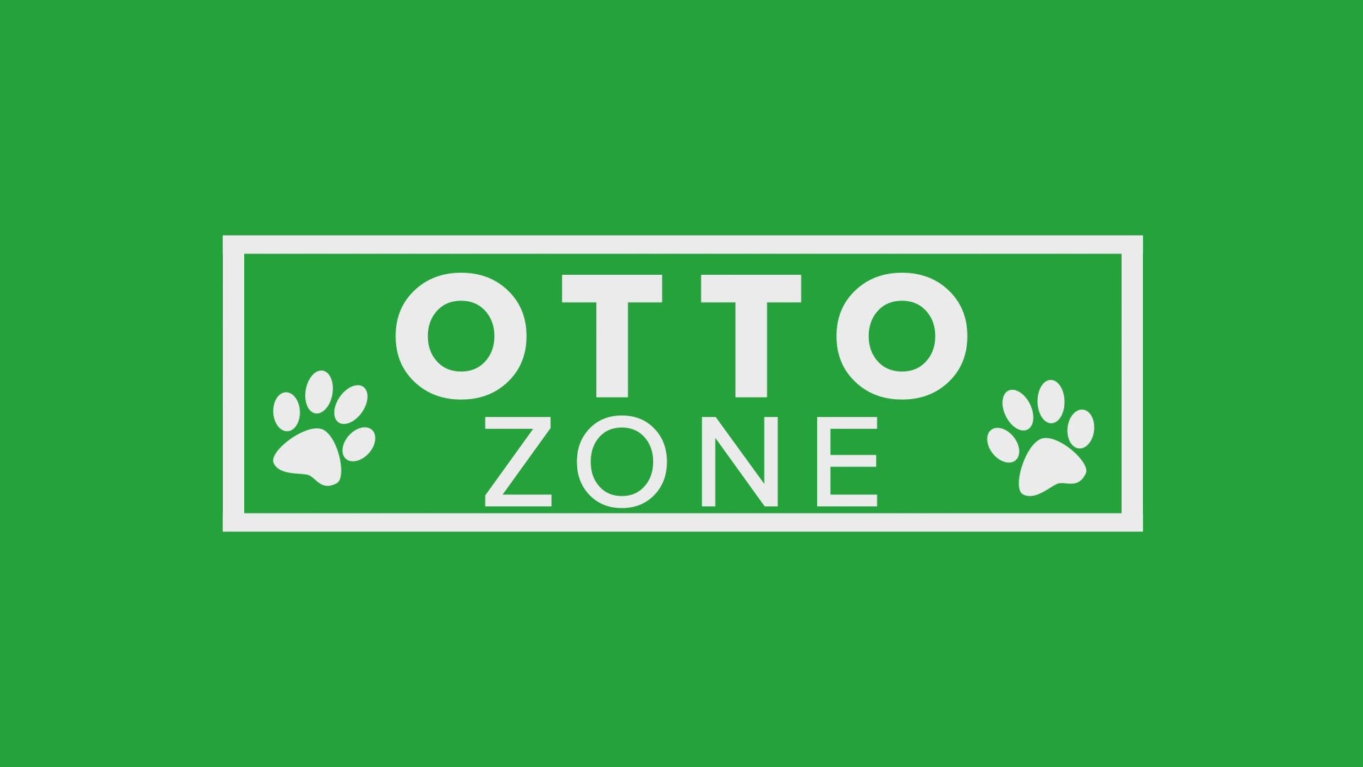 Otto Zone Week 2