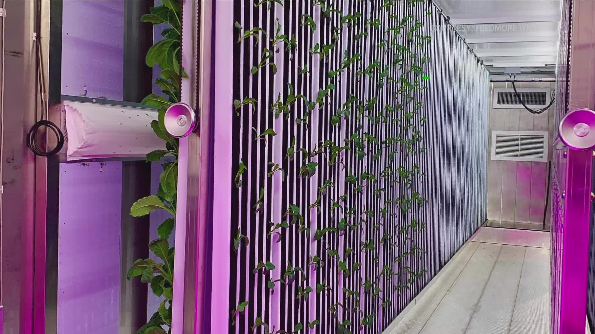 A shipping container farm allows food to be grown indoors all year long.