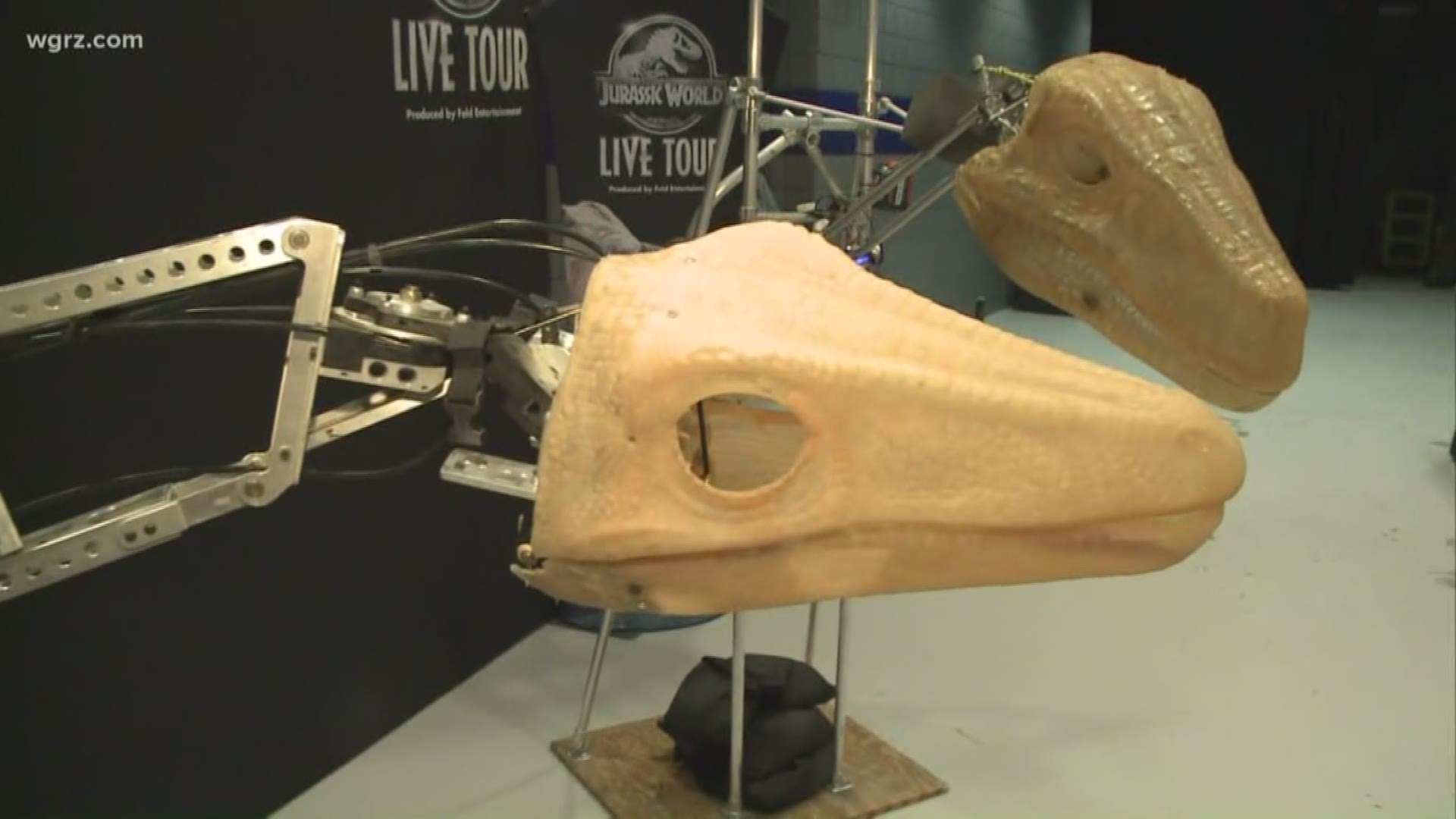 Meet the dino-teers of the 'Jurassic World Live' show