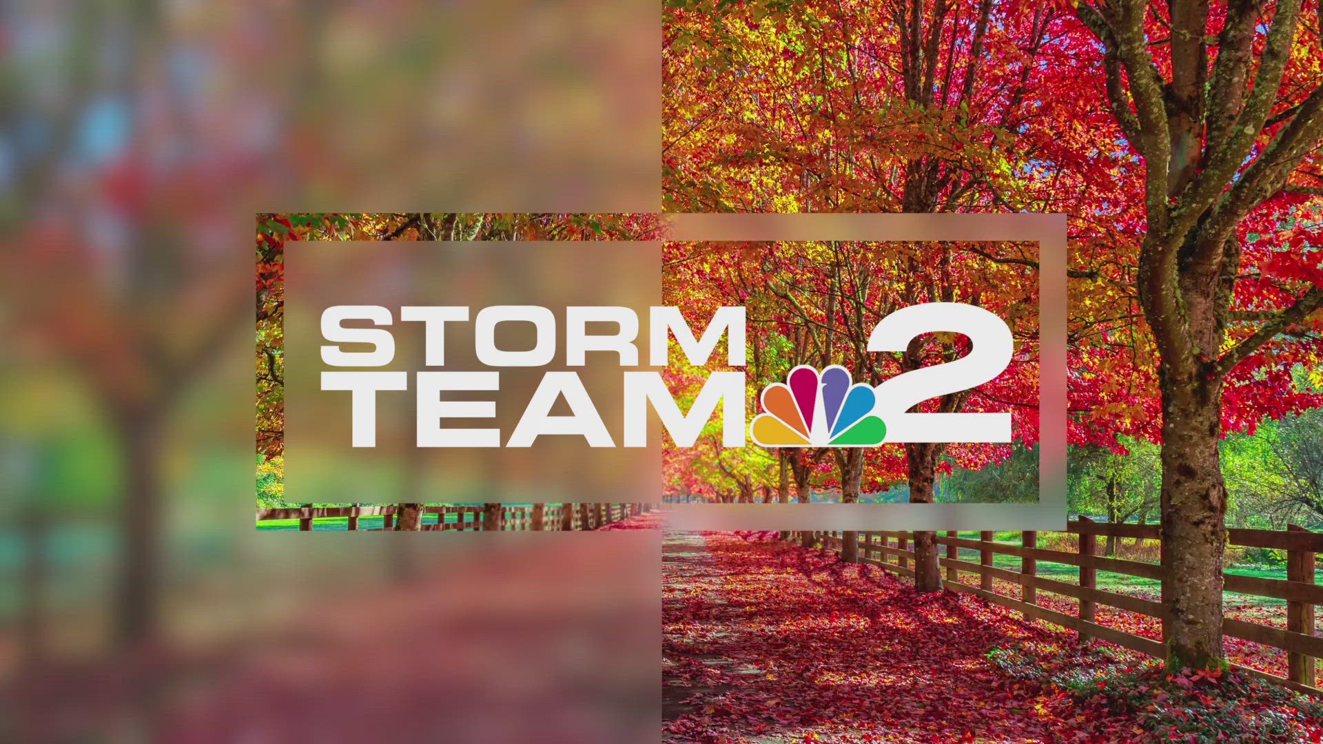 Midday Storm Team 2 Weather Forecast with Patrick Hammer 11/26/24