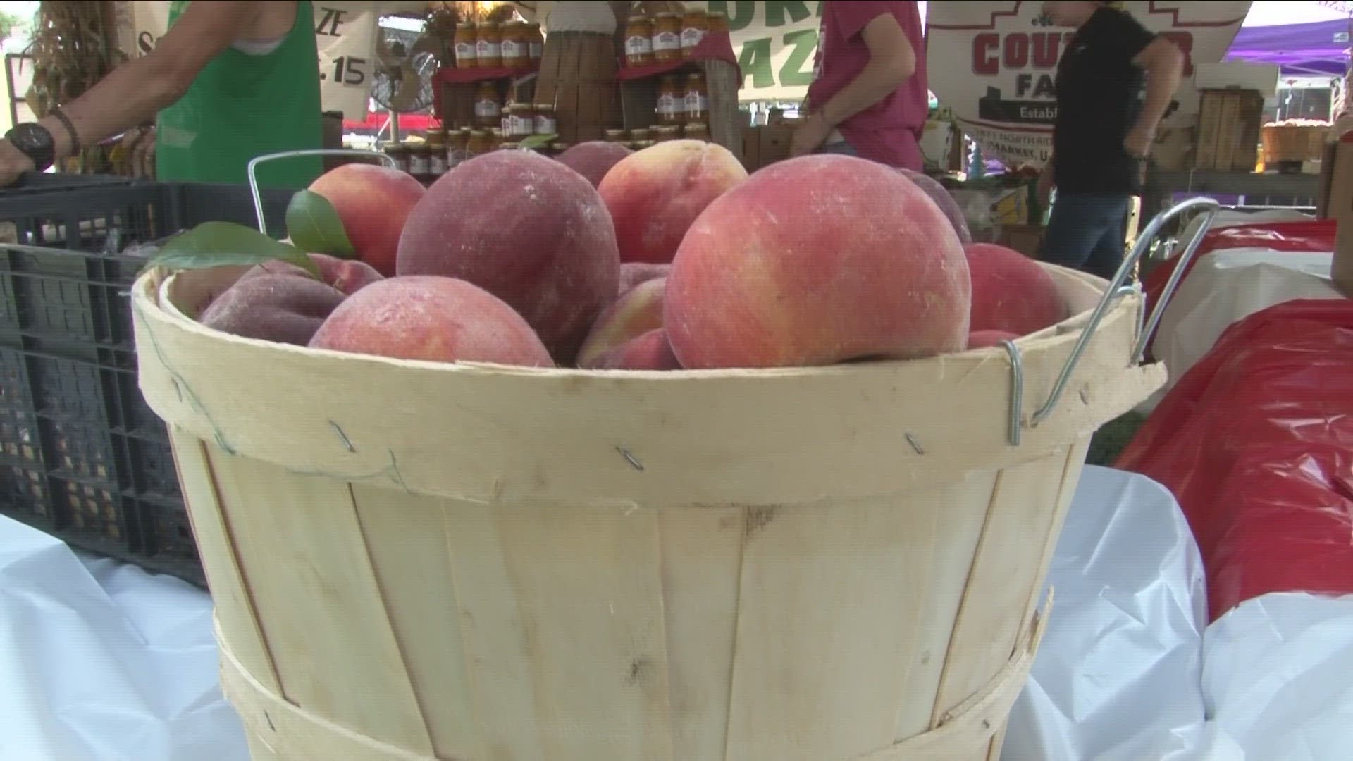 Niagara County Peach Festival