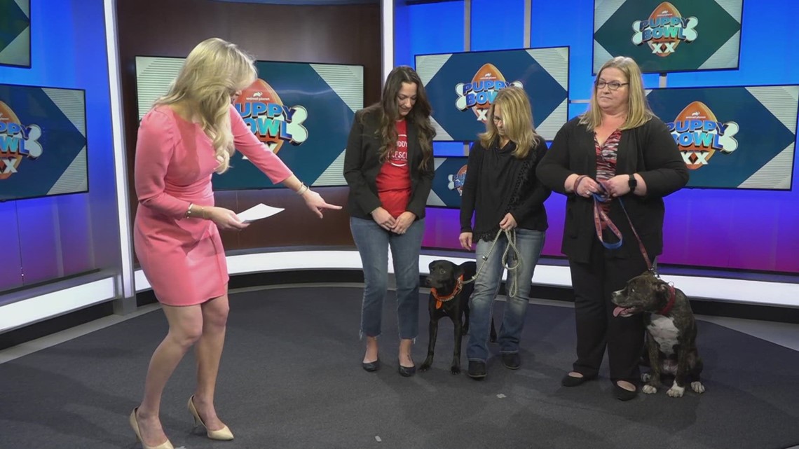 Puppy Bowl 2024 features four pups from local animal rescues - Vimarsana News