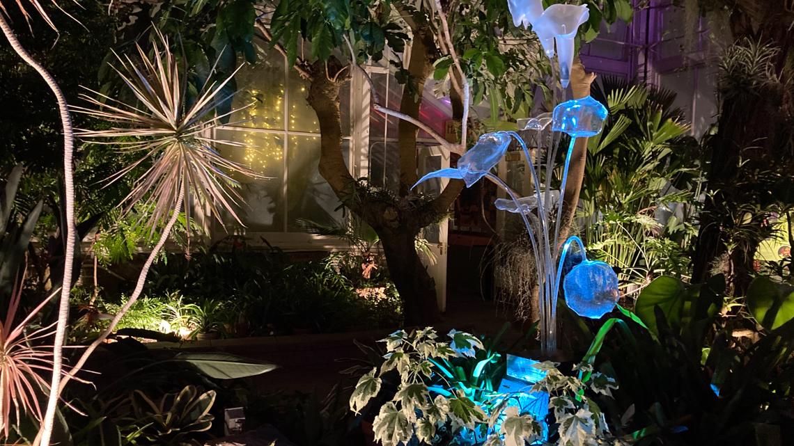 Enchanted Winter Escape event lights up Botanical Gardens - Vimarsana News