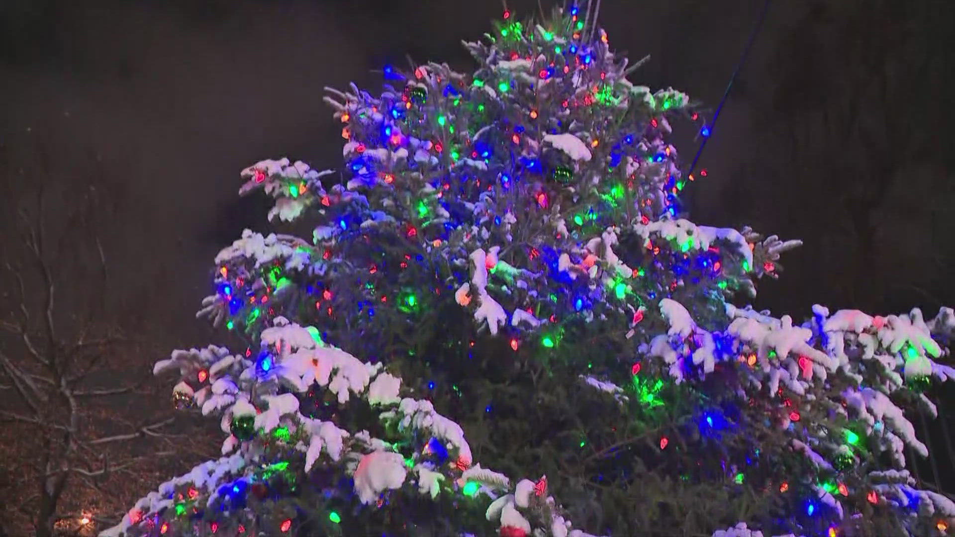 The second annual Parkside tree lighting and holiday market kicked off Thursday night.