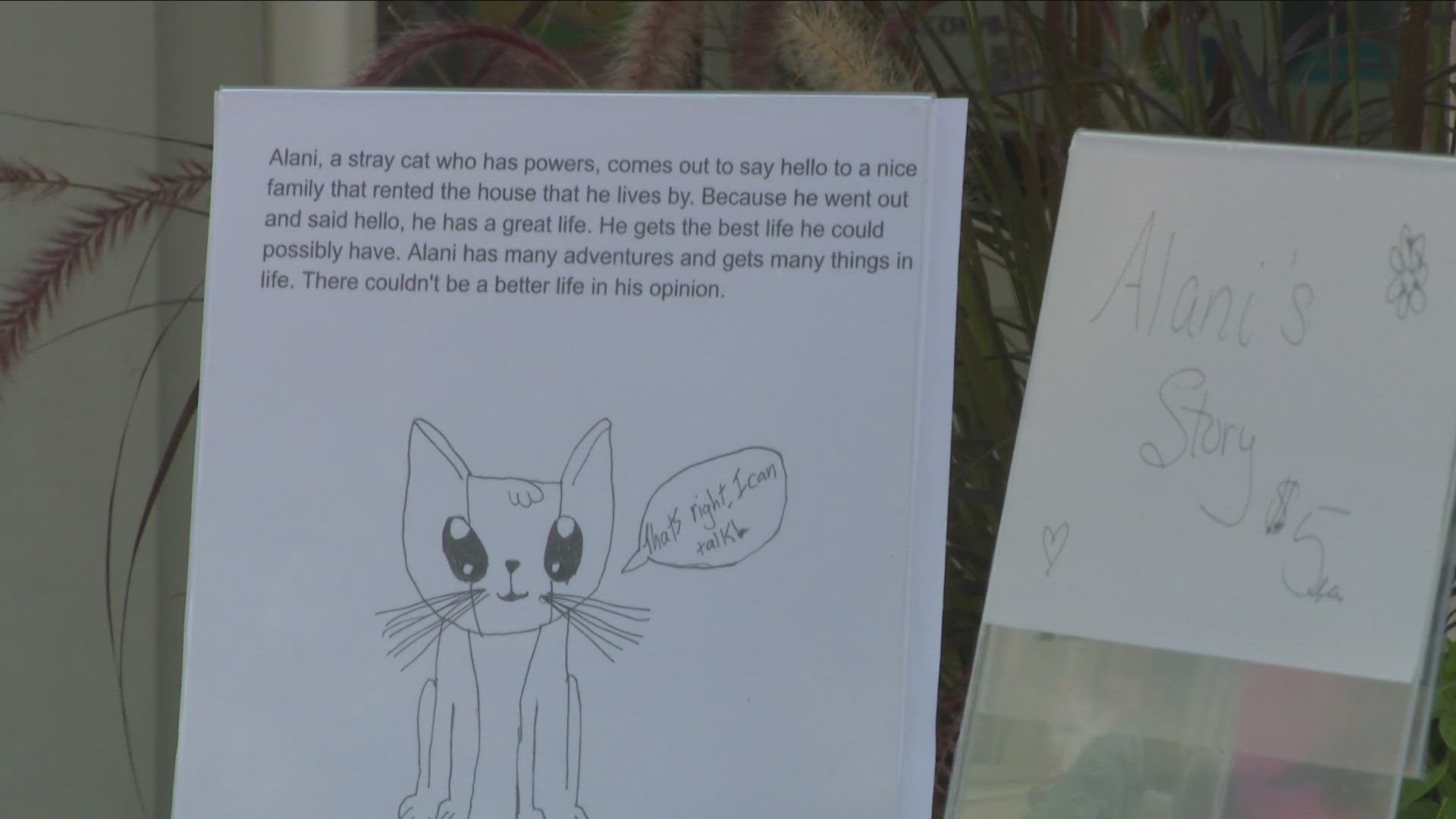 Children set up shop outside of Alice Ever After Books in Buffalo for the first ever Kid Author Festival.