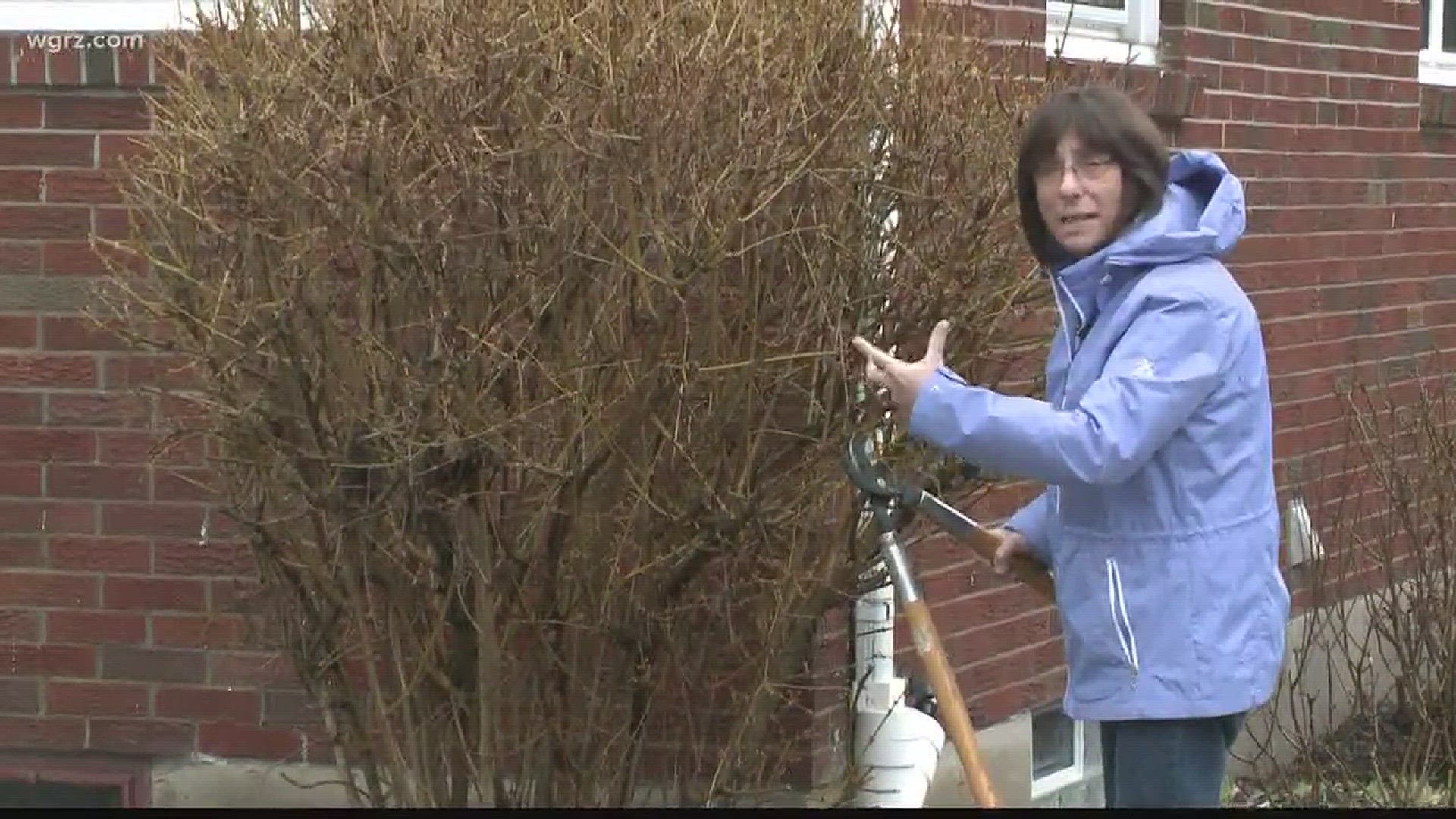 Spring is on its way, so Jackie gave us a refresher on pruning in this week's "2 the Garden."