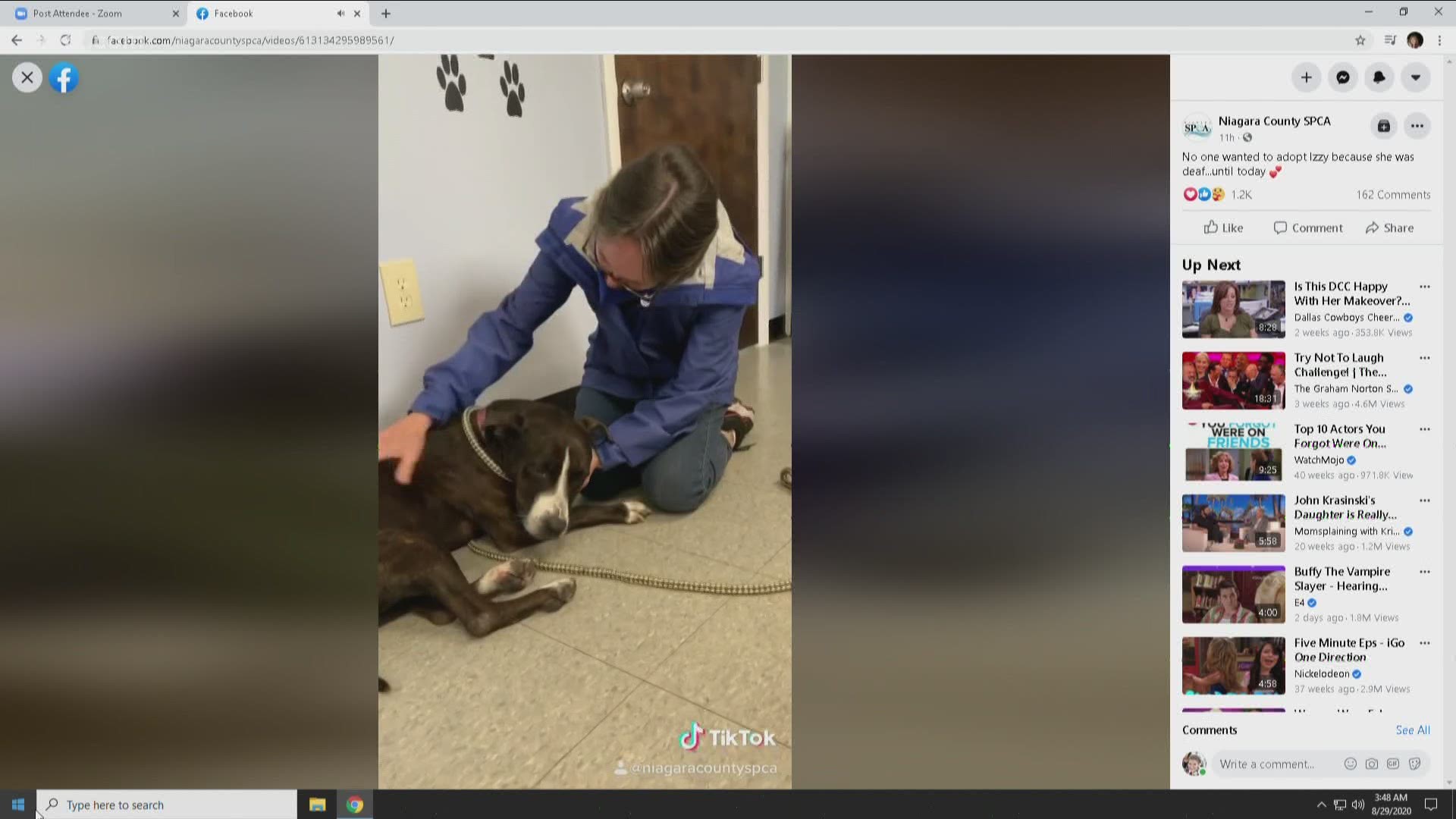 The Niagara County SPCA shared a video on their Facebook showing Izzy with her new owner.