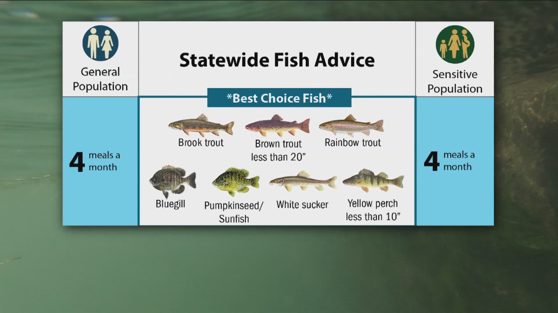 What fish can you eat from the Great Lakes? NYS Health Dept. has new guidelines