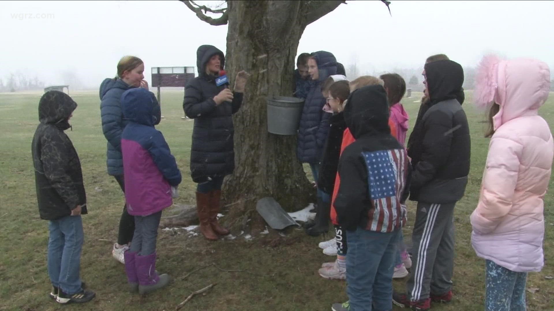 Most Buffalo: 'Springville Elementary Sugar Shack'