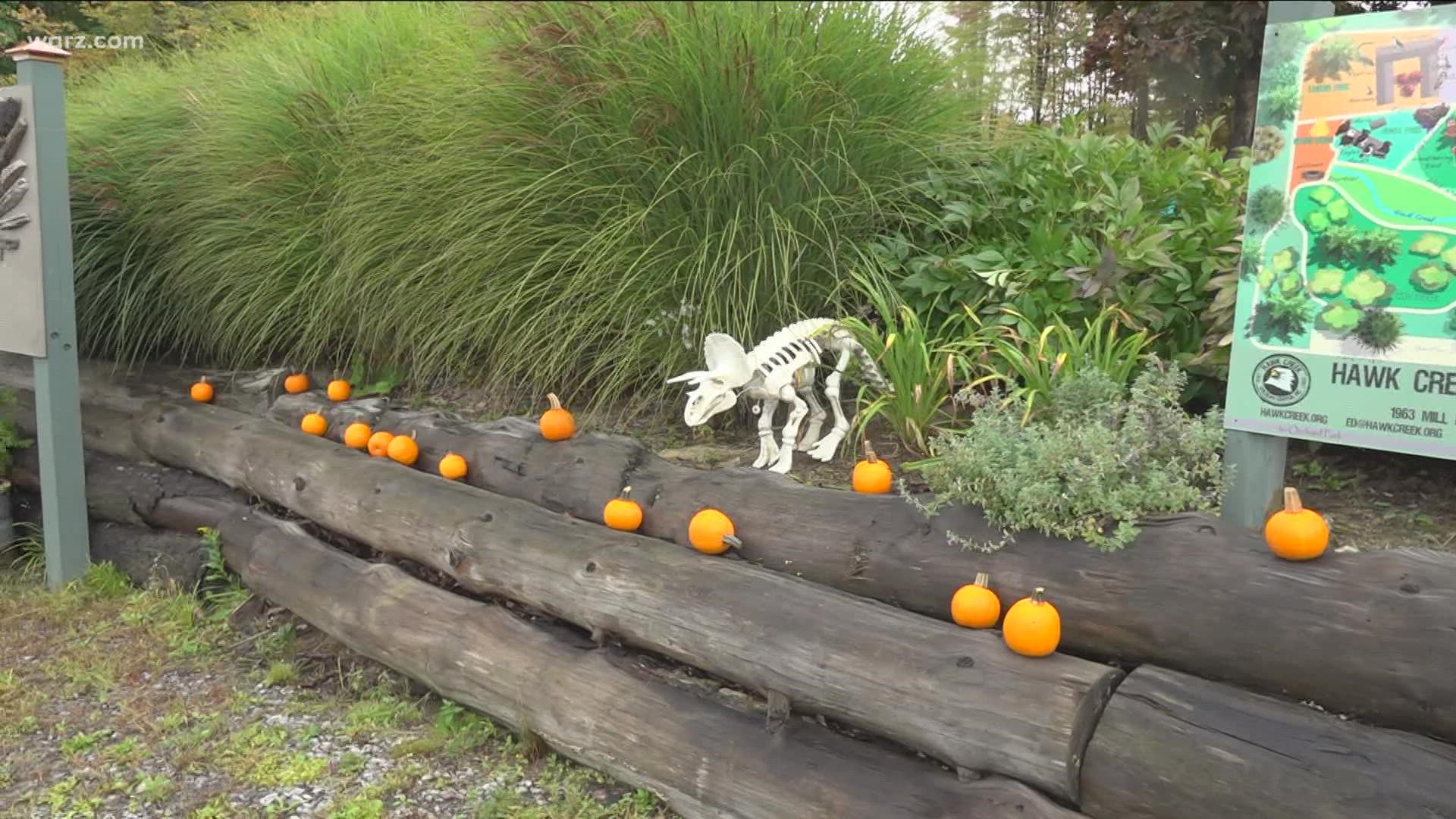 It's October and several places across the region are celebrating Halloween, including one spooky safari happening this weekend.