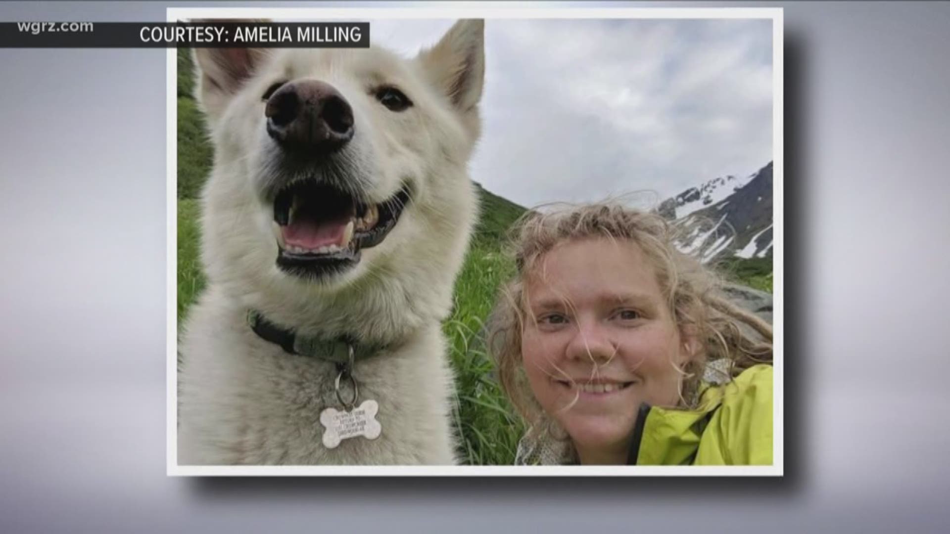 Huskie rescues RIT student hiking in Alaska