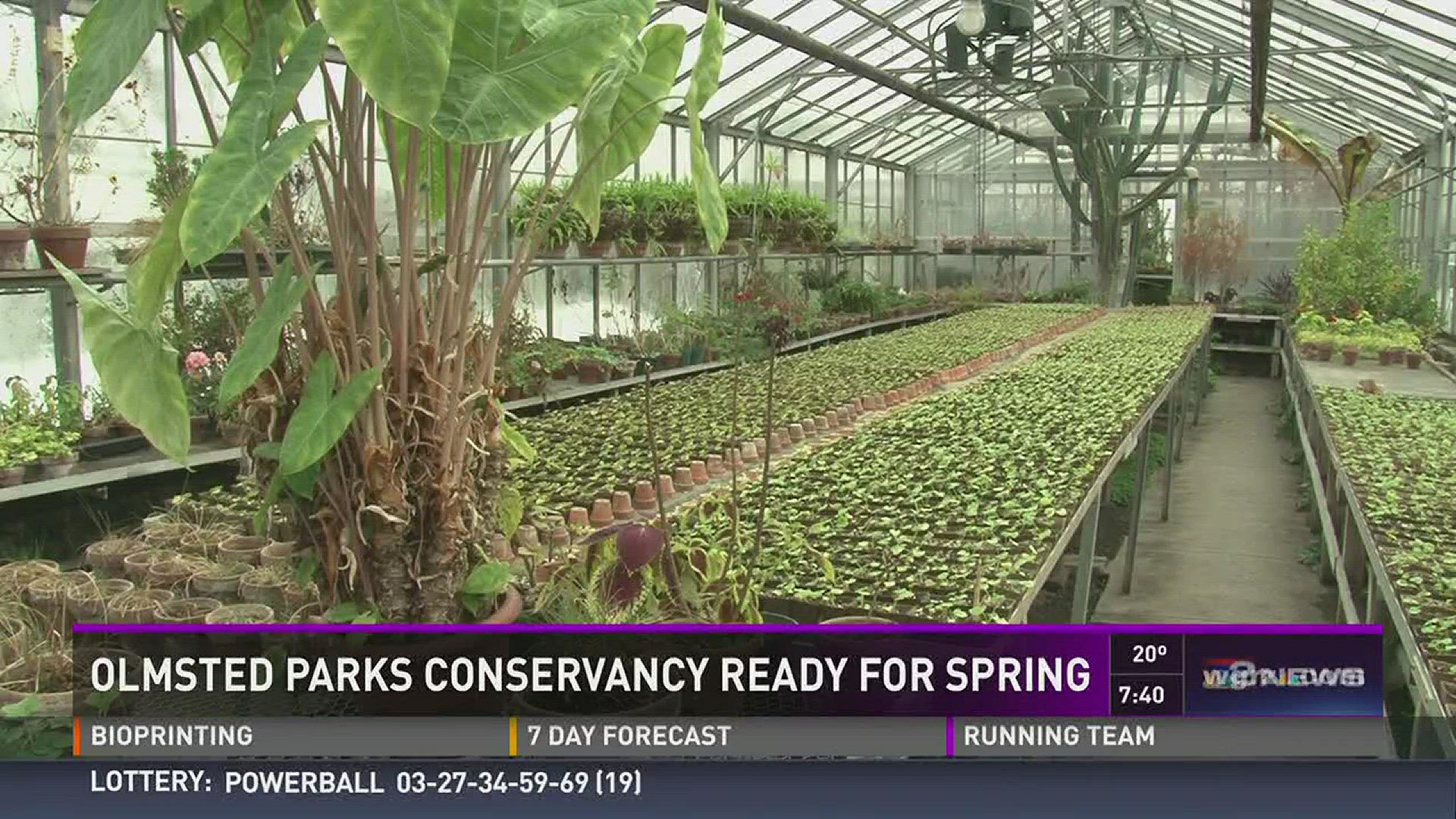 Olmsted Parks Conservancy Grows 15,000 Plants for Buffalo Park System