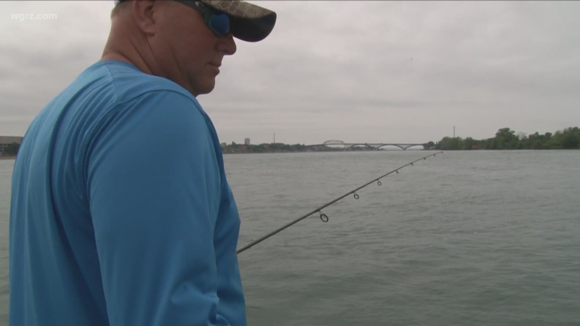 DEC announces new federal requirements for recreational fishing of black sea bass, scup