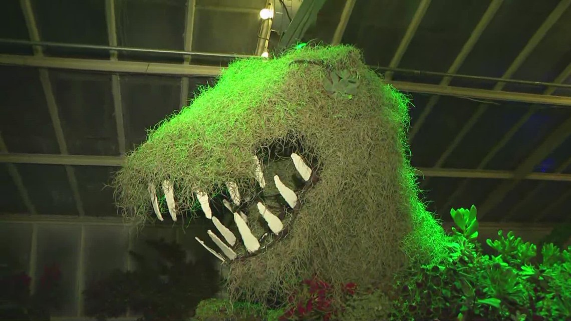 Creatures After Dark in the Botanical Gardens - Vimarsana News