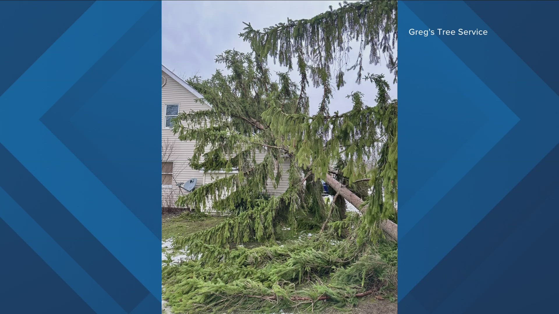Western New York residents dealing with fallen trees after windstorm
