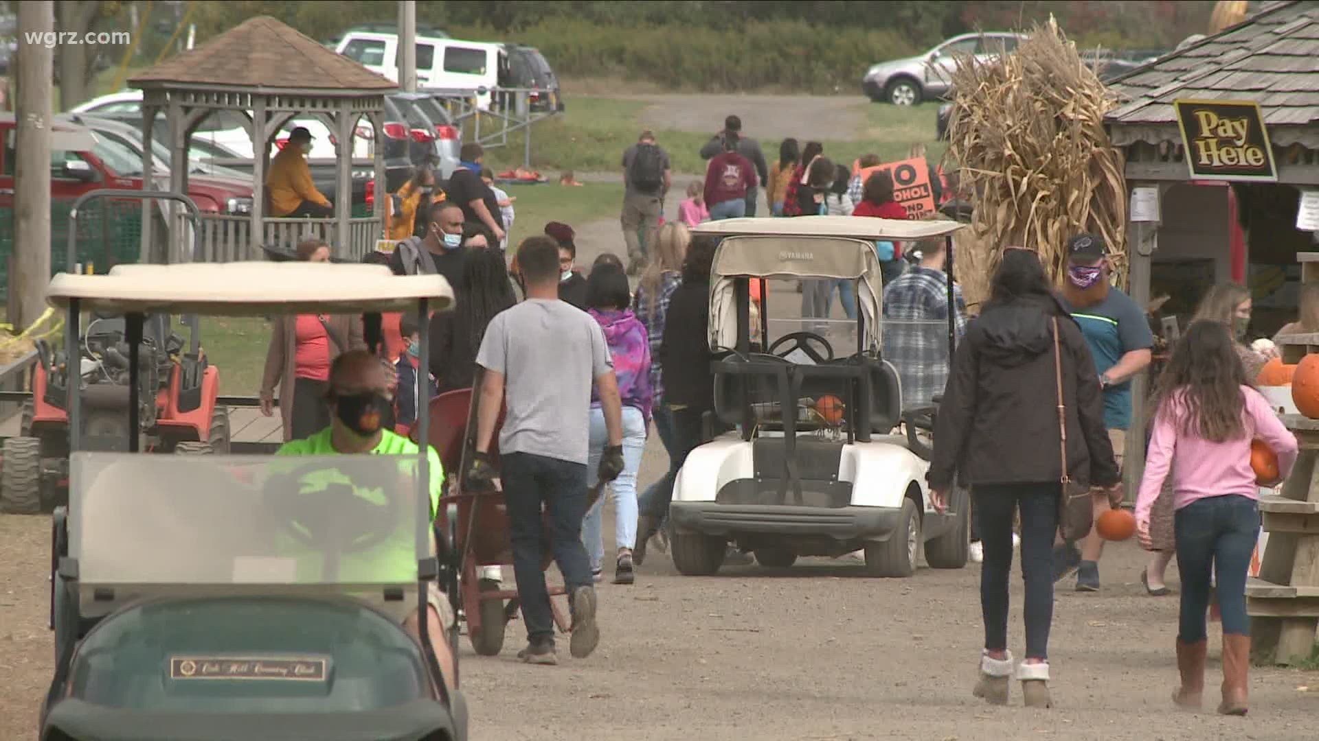 the department of agriculture was out and told a worker the great pumpkin farm  it was one of the best places and in compliance.