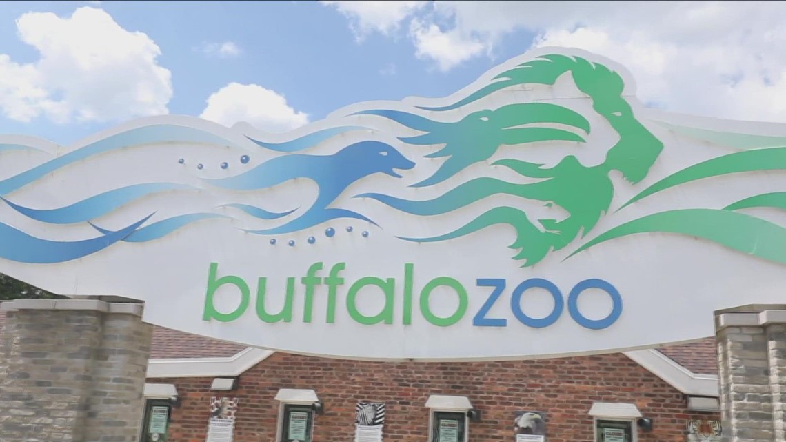 Buffalo Zoo granted announces renewal of accreditation