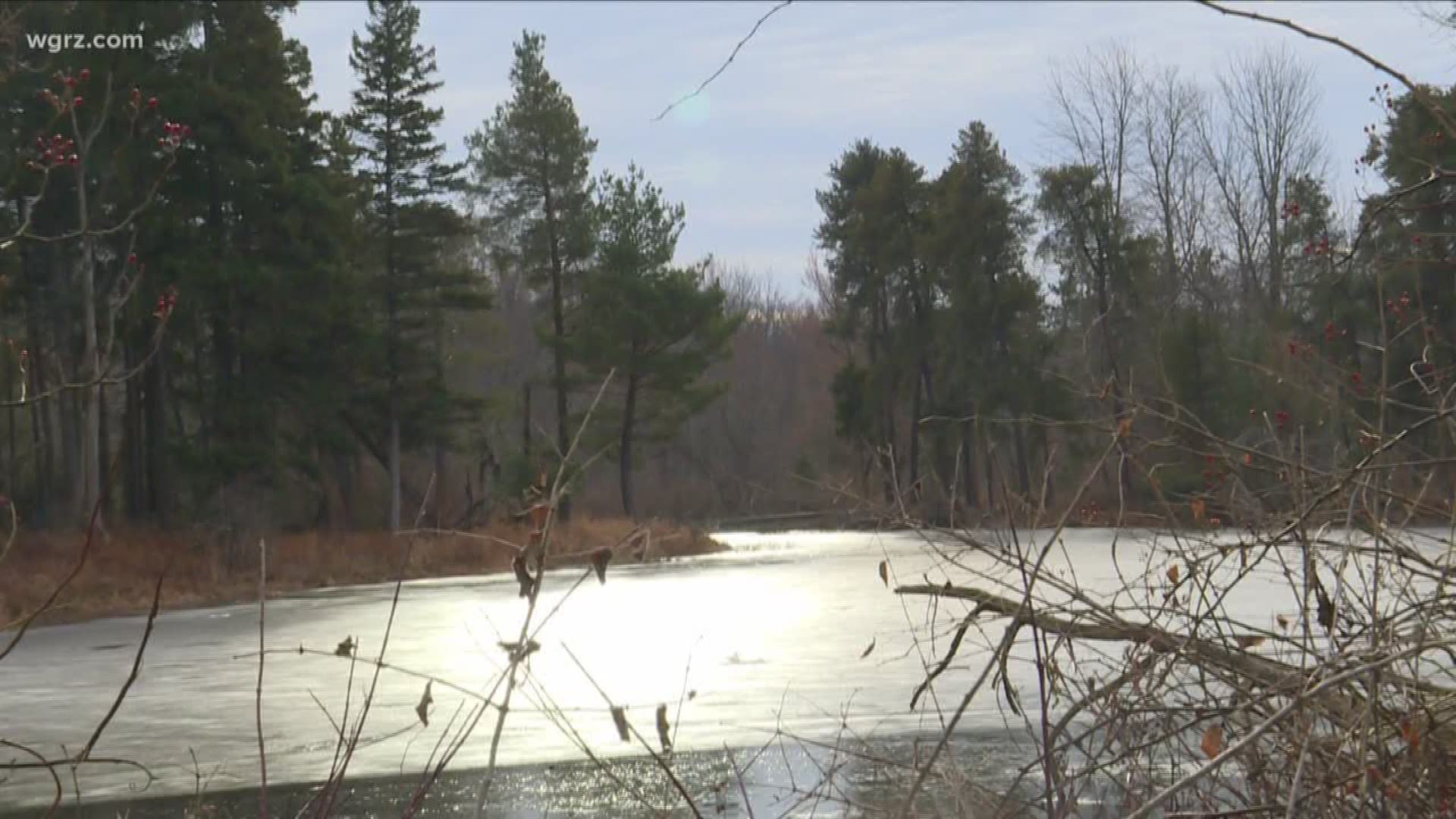 Channel 2's Terry Belke visited Reinstein Woods in Cheektowaga to take a look at some of the natural wonders hidden in the middle of a suburban neighborhood.