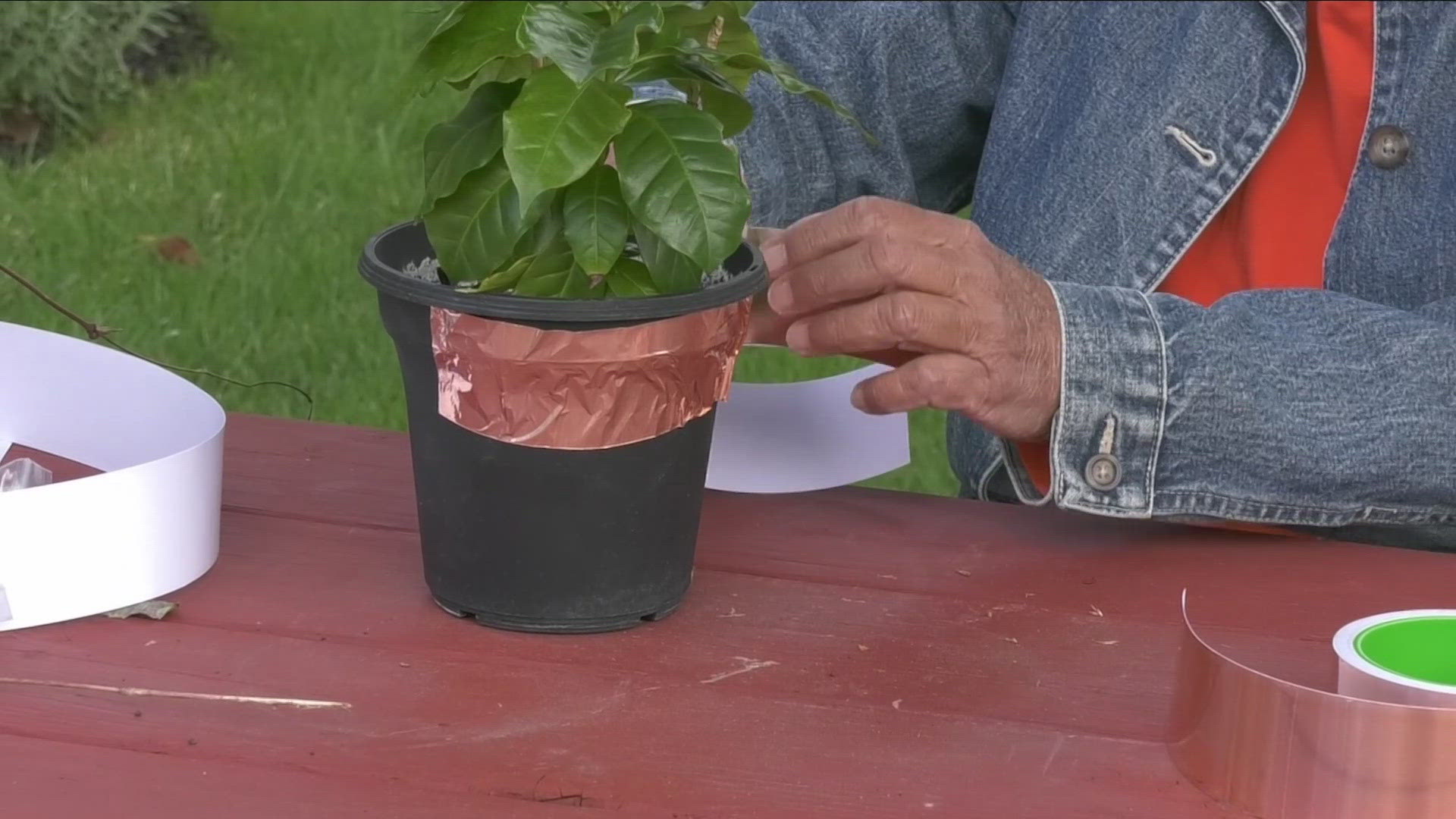 Copper can help keep a common pest out of your garden.