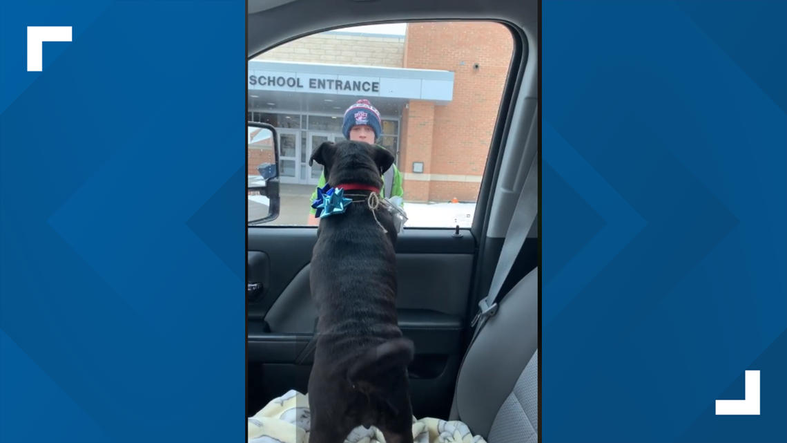 Missing dog finds his way back to WNY family | wgrz.com