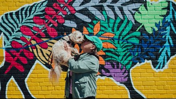 How to get the best photos at Buffalo's most Instagram-able places ...