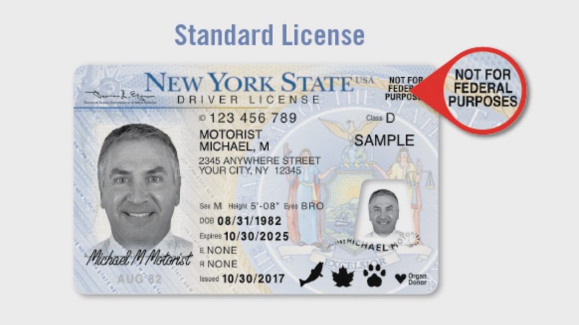 different types of licenses in the us