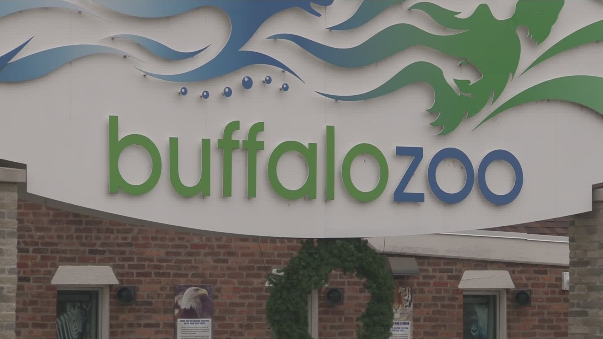 Buffalo Zoo summer camps