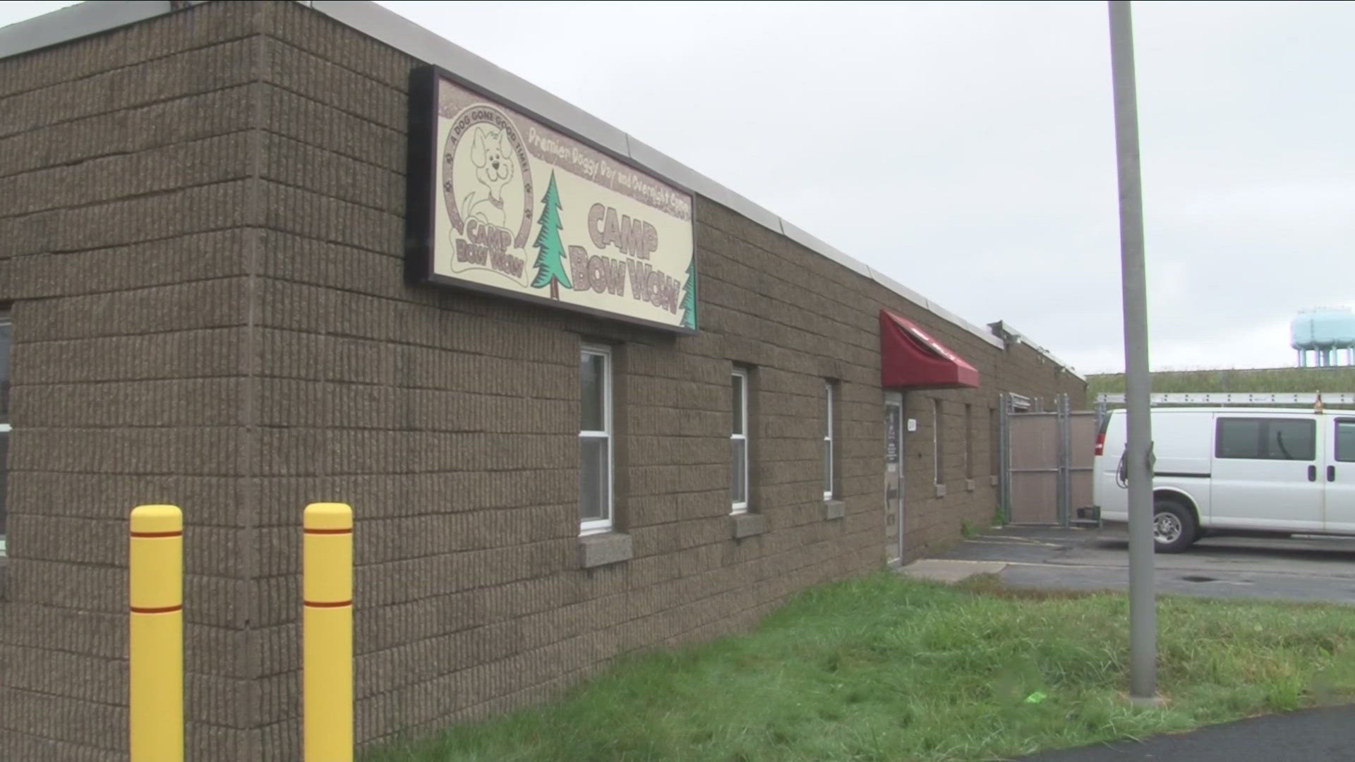 2 cases of kennel cough were detected at Camp Bow Wow in Tonawanda. Summer is prime time for dogs to develop kennel cough