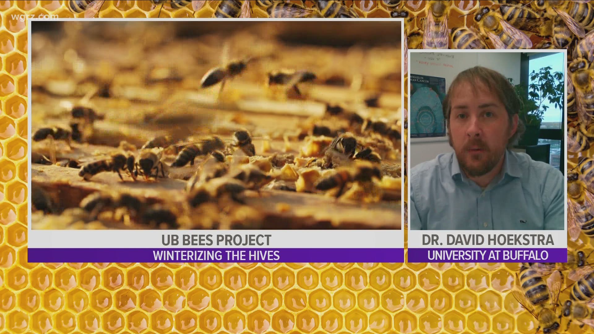 we talked with a professor, Dr. David Hoekstra... who is the director of the "U-B Bees" project
