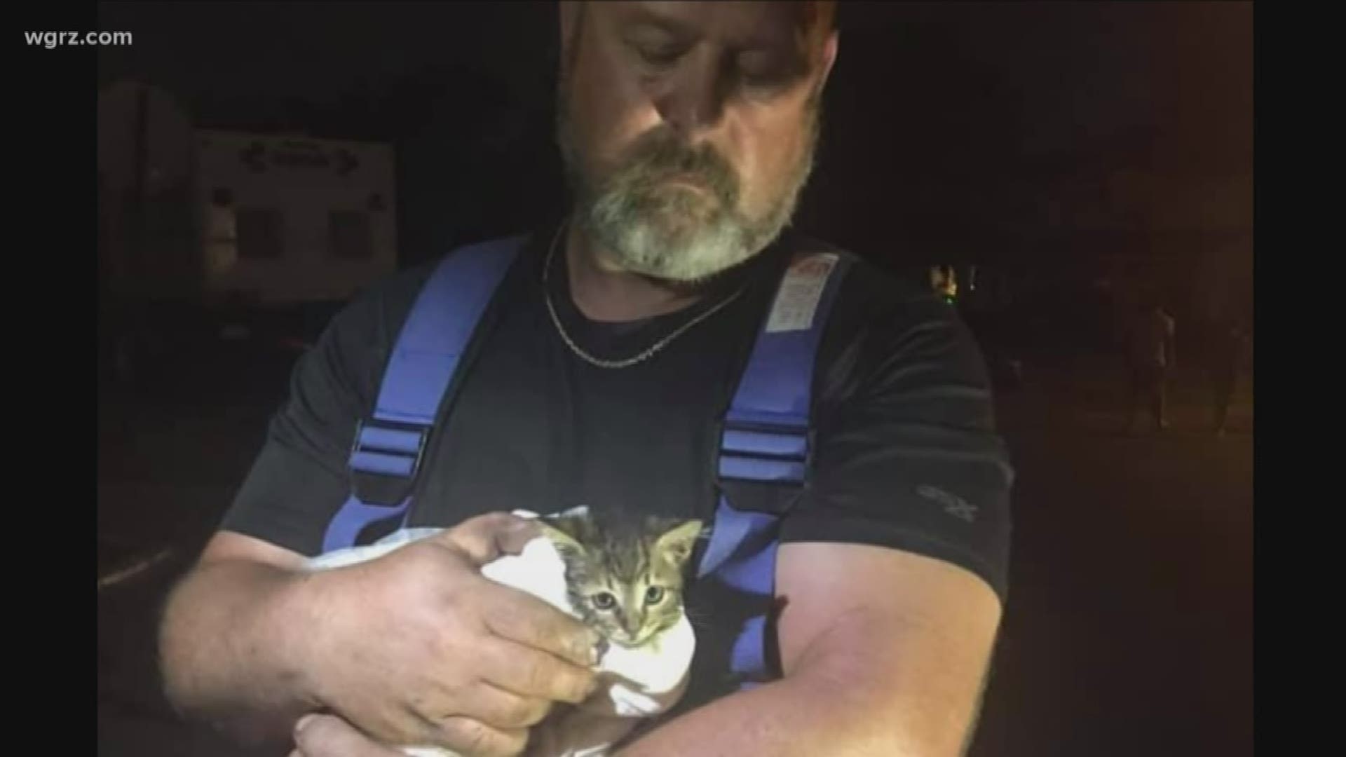 Firefighters Save Kitten From Storm Drain