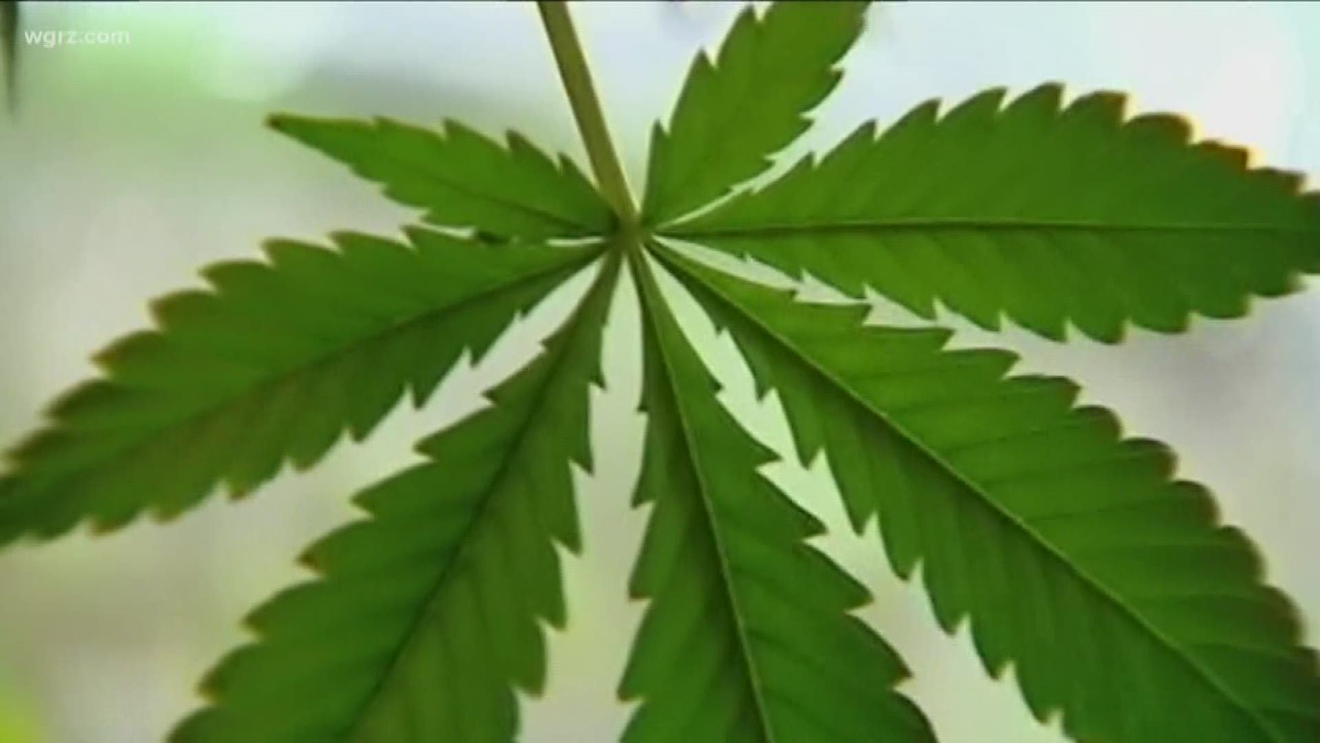 Group Picked To Write Recreational Pot Bill