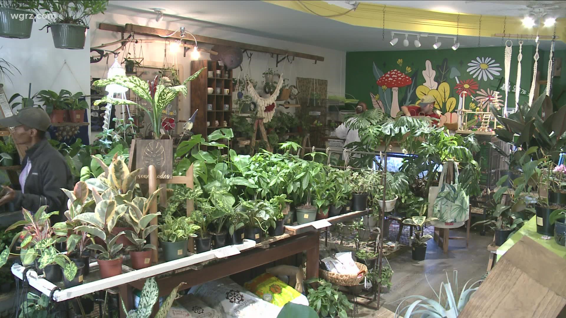 The International Institute reached out to a business called "Put a Plant On It" and the result was a unique sale.