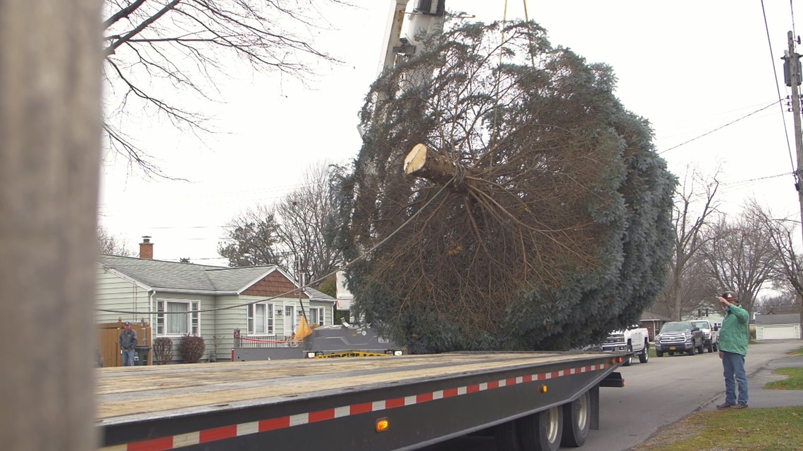 North Tonawanda family donates 2020 Tree of Hope - Vimarsana News