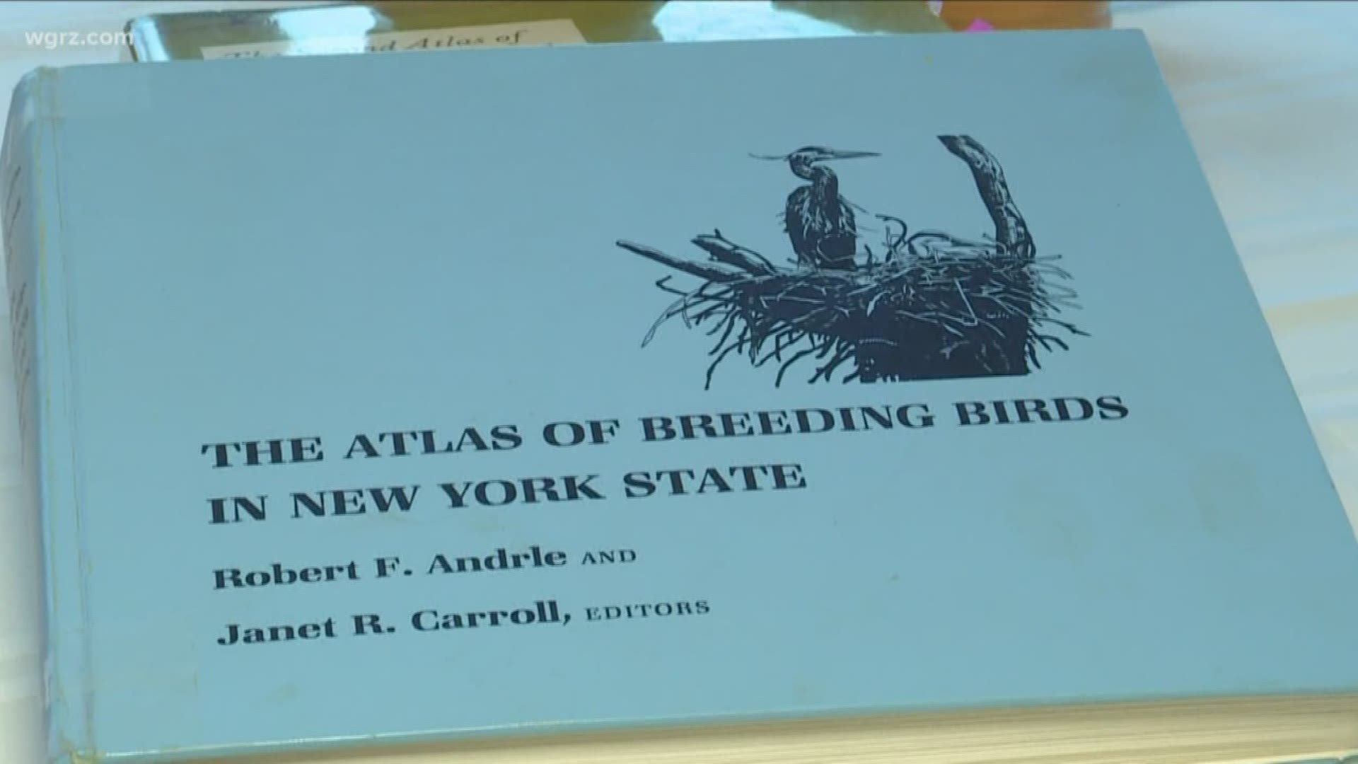 The Bird Atlas is in need of a flock of volunteers